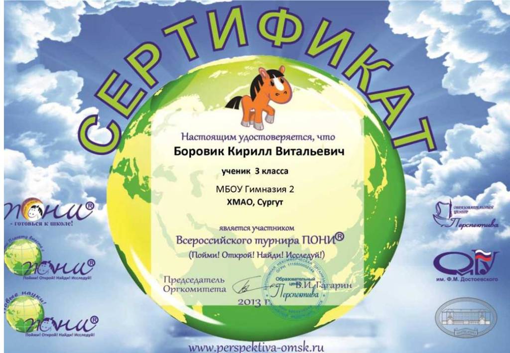 БОРОВИК ПОНИ 2013.jpg