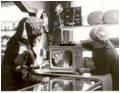 Рабочий момент продажи первого телевизора в магазине мкр. Строитель. 1969 год
