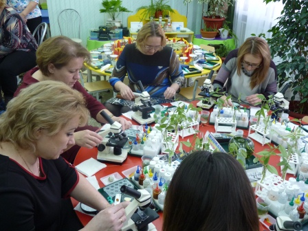 СеминарМБДОУ Колокольчик5.jpg