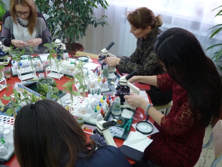 СеминарМБДОУ Колокольчик3.jpg