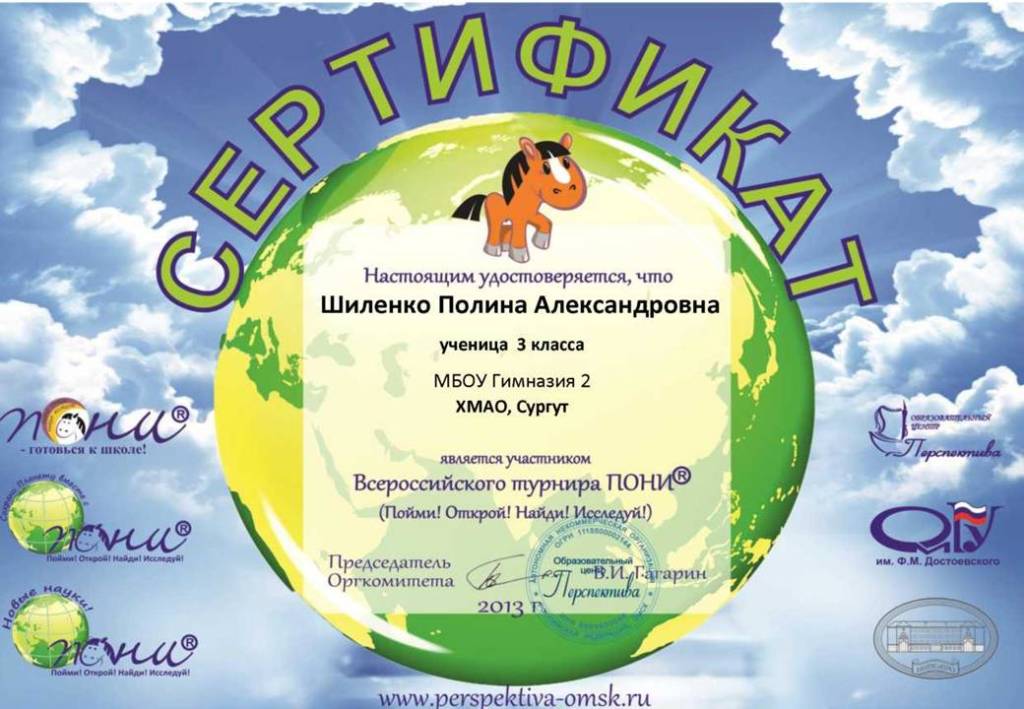 ШИЛЕНКО ПОНИ 2013.jpg