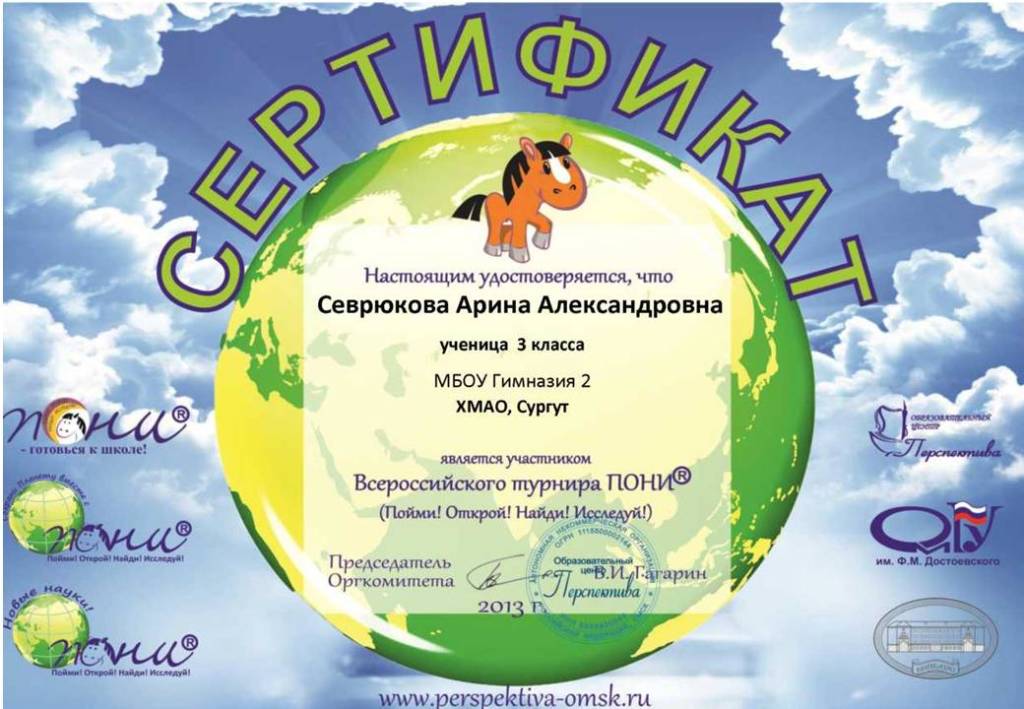 Файл:СЕВРЮКОВА ПОНИ 2013.jpg