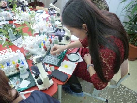 СеминарМБДОУ Колокольчик6.jpg