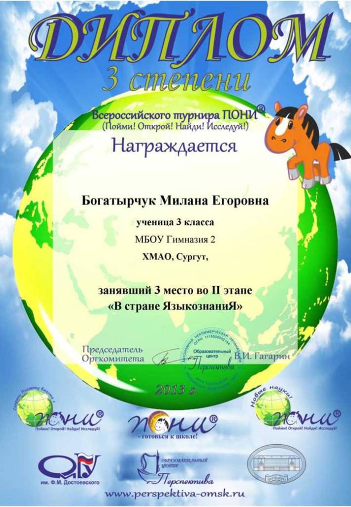 БОГАТЫРЧУК ДИПЛОМ ПОНИ 2013.jpg