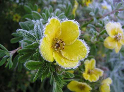 Миниатюра для версии от 20:21, 31 марта 2011