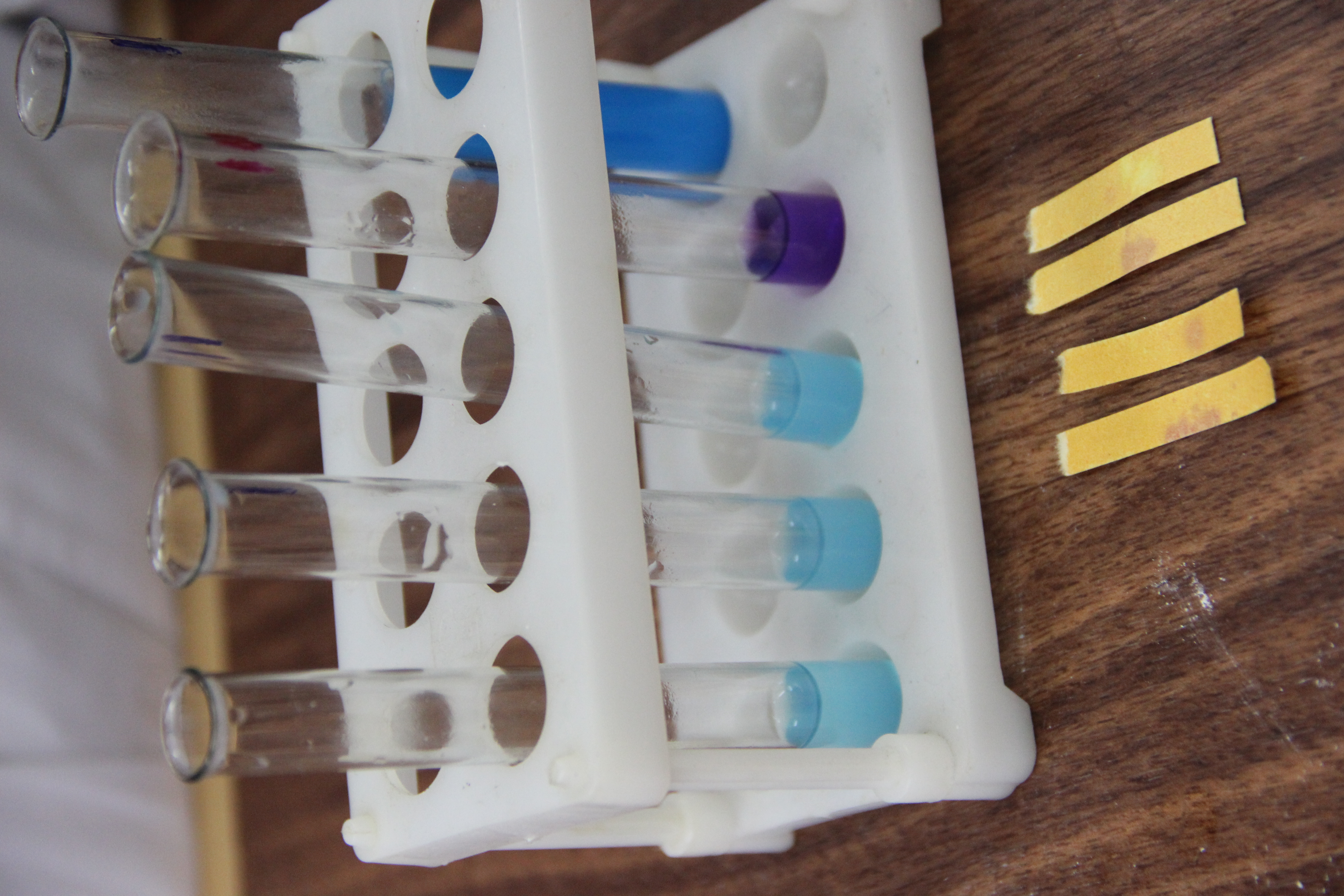 Миниатюра для версии от 22:37, 13 декабря 2015