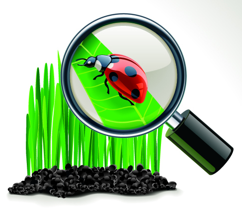 Миниатюра для версии от 12:41, 11 января 2019