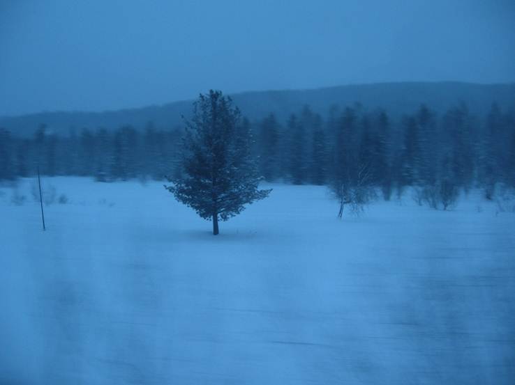 Миниатюра для версии от 08:17, 14 апреля 2012