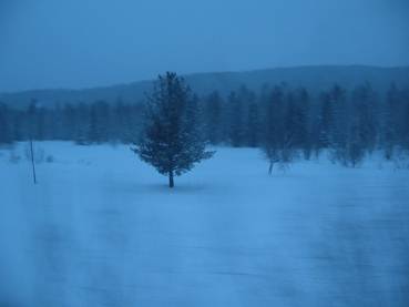 Миниатюра для версии от 08:21, 14 апреля 2012