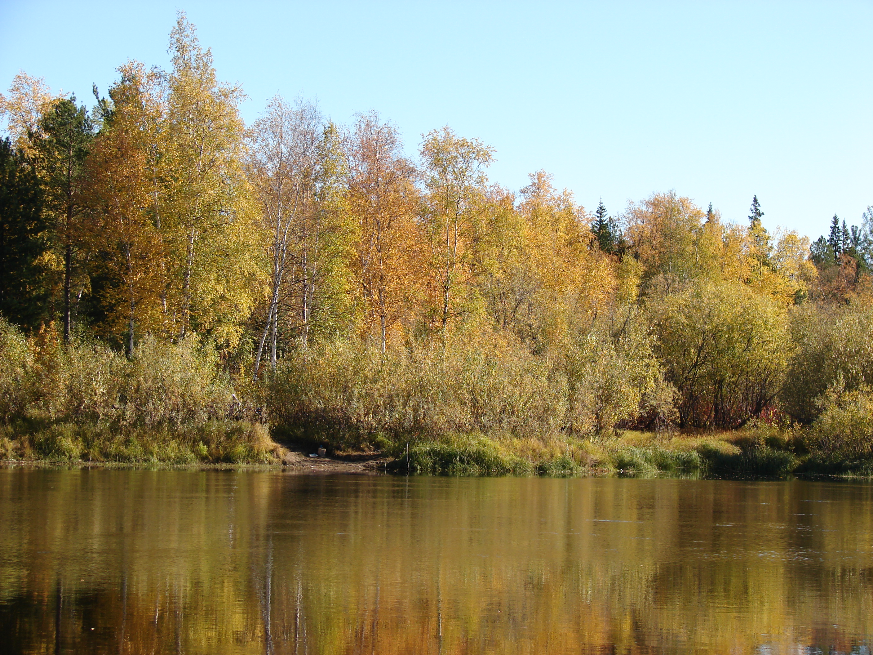 Миниатюра для версии от 12:29, 1 апреля 2013