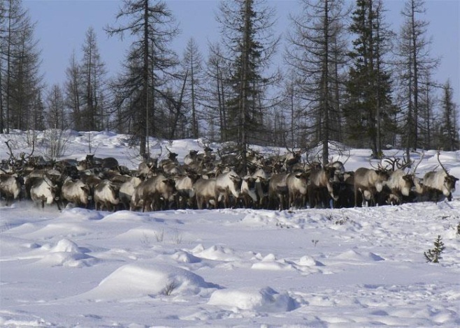 Миниатюра для версии от 11:22, 2 апреля 2014