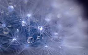 Миниатюра для версии от 16:16, 11 июля 2019