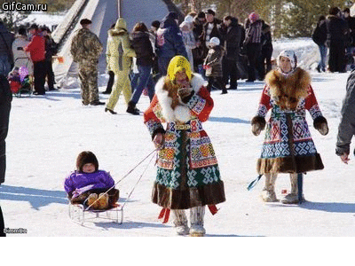 Чум олени.gif