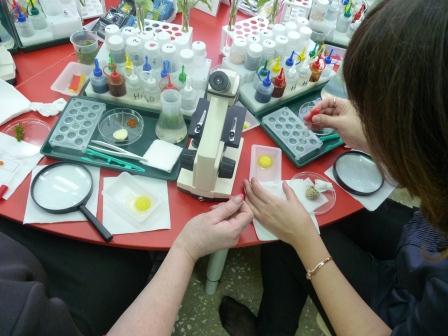 СеминарМБДОУ Колокольчик7.jpg