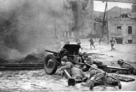 Sm users img-183271.jpg