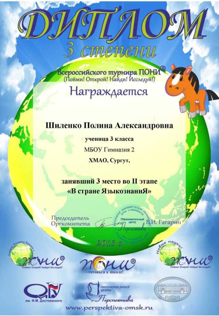 ШИЛЕНКО ДИПЛОМ ПОНИ 2013.jpg