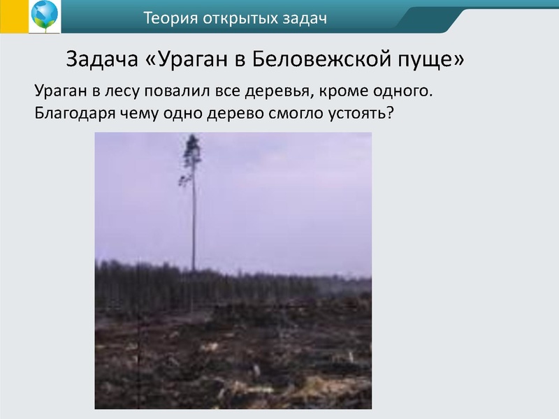 Файл:ФГОС креативность Андржеевская (2).pdf