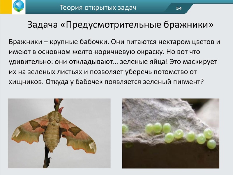 Файл:ФГОС креативность Андржеевская (2).pdf