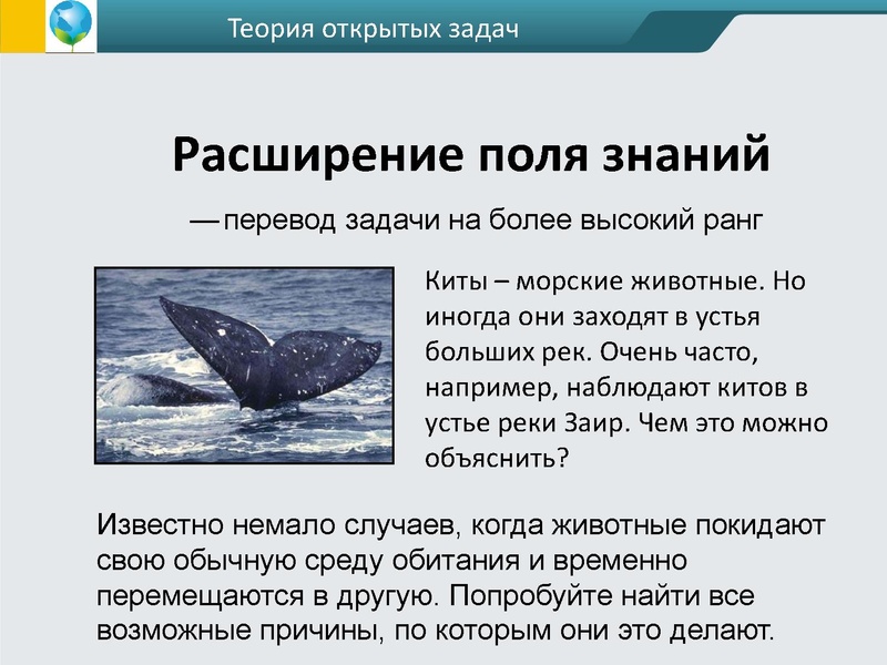 Файл:ФГОС креативность Андржеевская (2).pdf