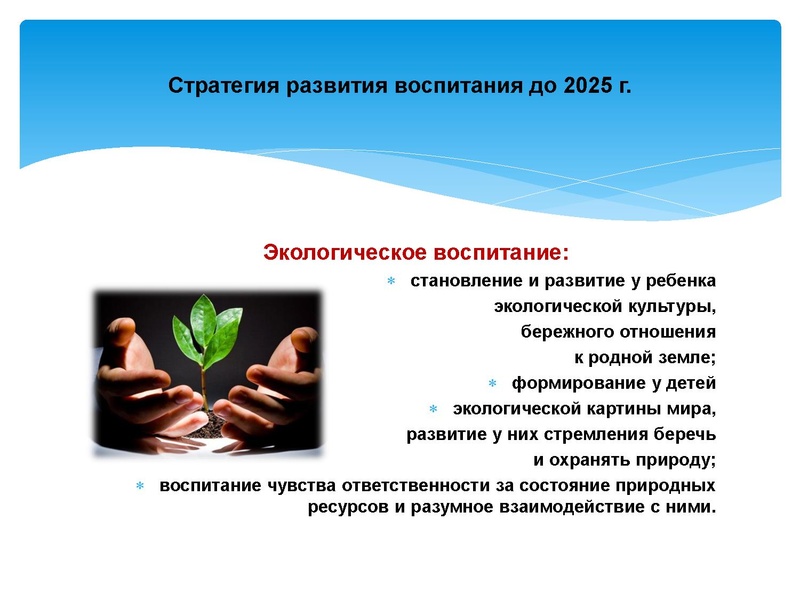 Файл:2. Cтратегия развития воспитания до 2025 года.pdf