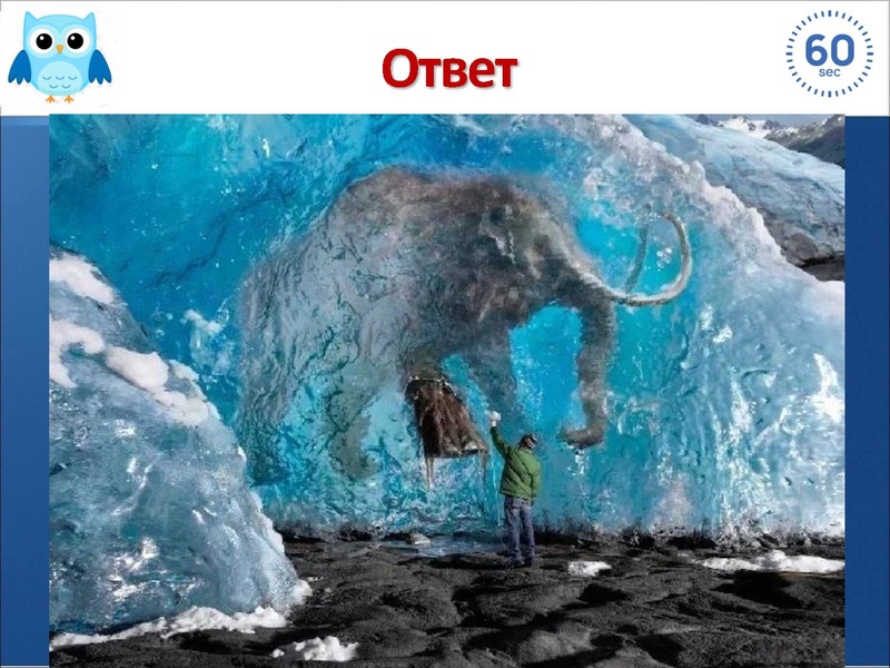 Файл:ТУРНИРЫ.pdf