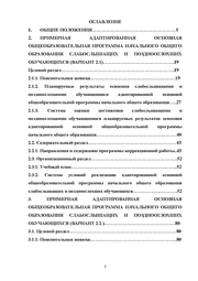 следующая страница →