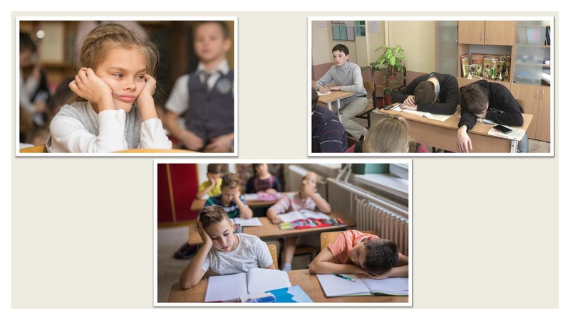 Файл:ЛИТ ГОСТИНАЯ.pdf