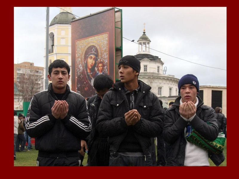 Файл:Полын Т.В.pdf