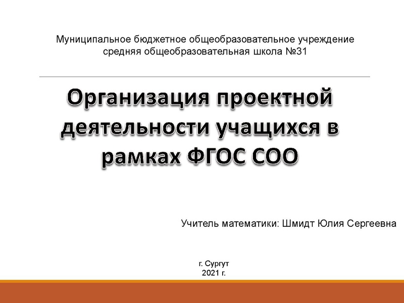 Файл:Шмидт Ю.С. 22.04.pdf