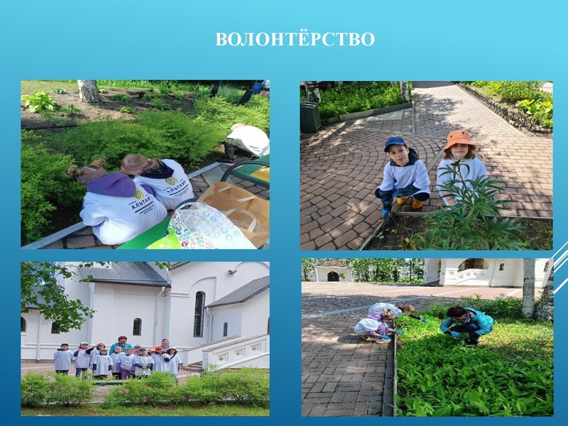 Файл:МО по ДНВ новый.pdf