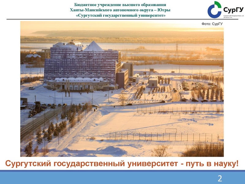 Файл:1000269455 Семенов О.Ю..pdf