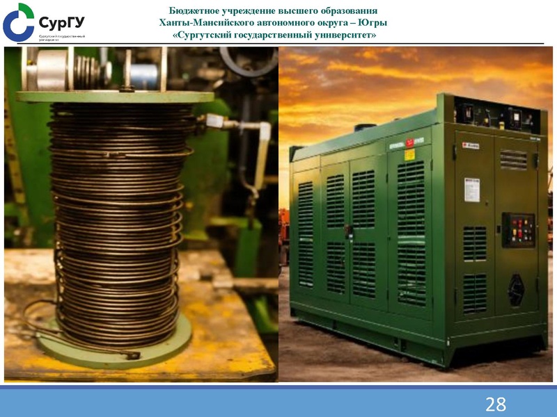 Файл:1000269455 Семенов О.Ю..pdf