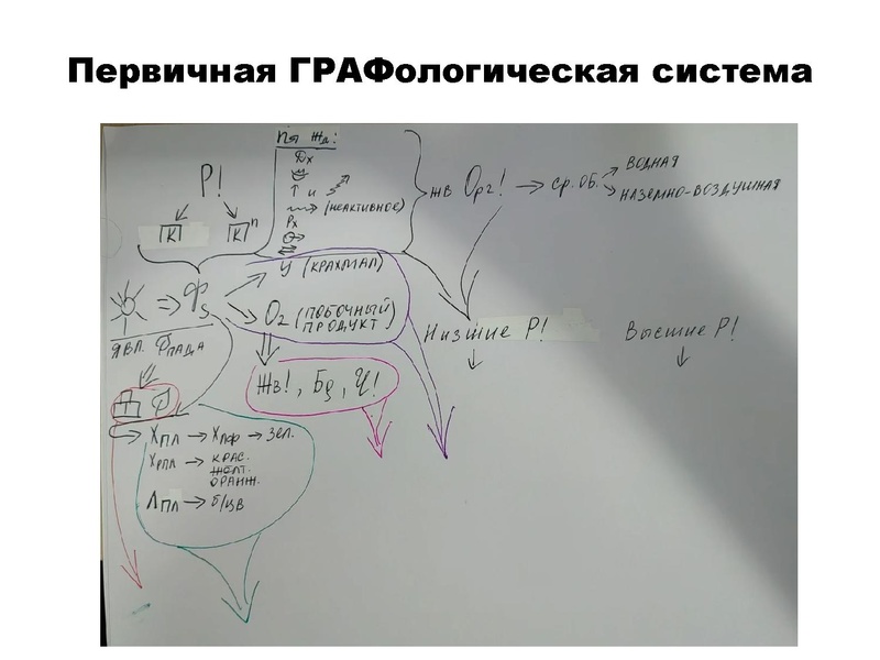 Файл:БИО Шабанова.pdf