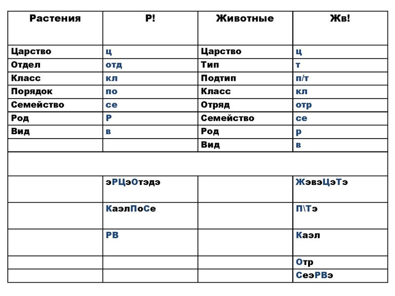 Файл:БИО Шабанова.pdf
