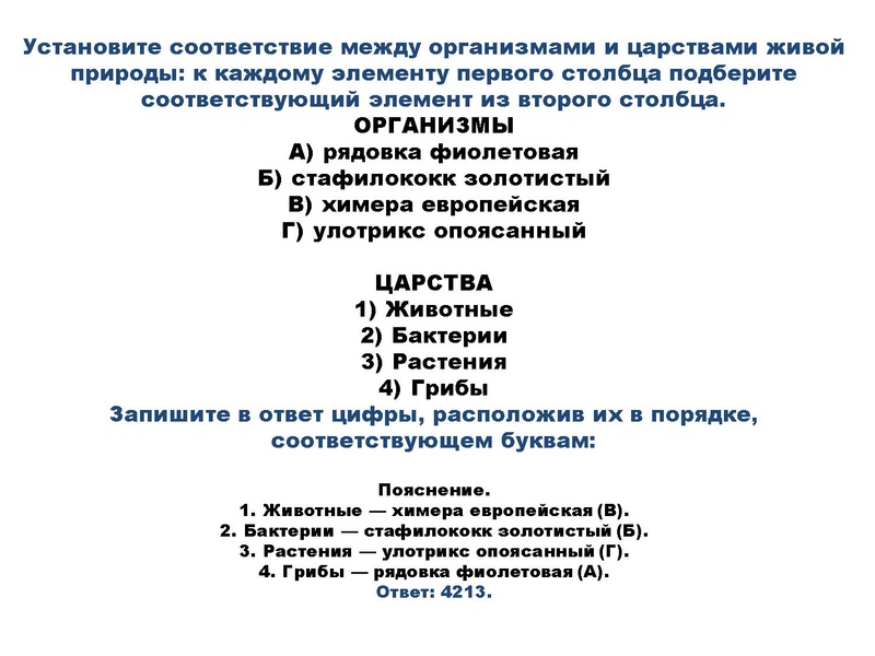 Файл:БИО Шабанова.pdf