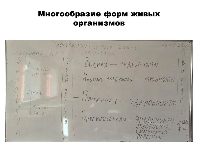 Файл:БИО Шабанова.pdf