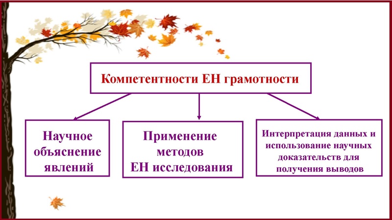 Файл:4. Естественно-научная грамотность- путь к успеху выступление.pdf