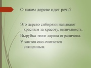 следующая страница →