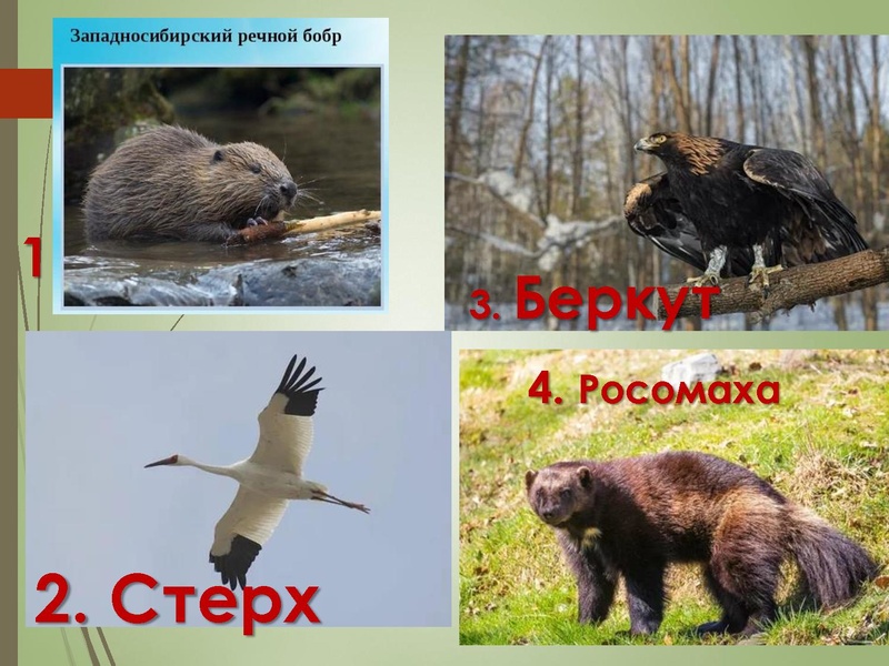 Файл:Геоюгра2023.pdf