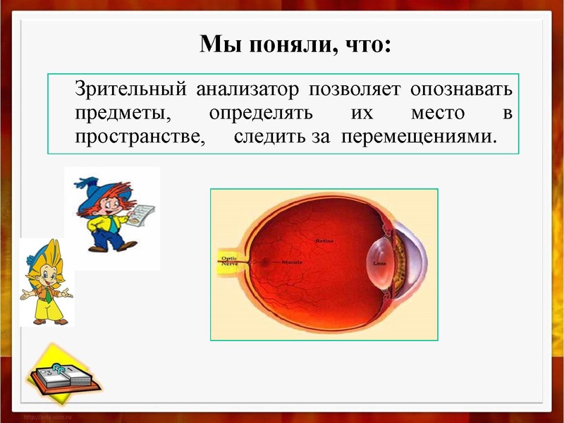 Файл:Проект ученический.pdf