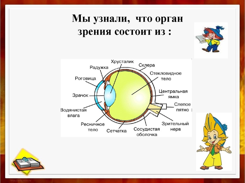 Файл:Проект ученический.pdf