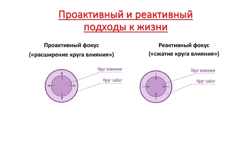 Файл:Семинар-практикум на Управленческий старт-ап 18.03.2025.pdf