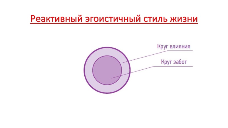 Файл:Семинар-практикум на Управленческий старт-ап 18.03.2025.pdf
