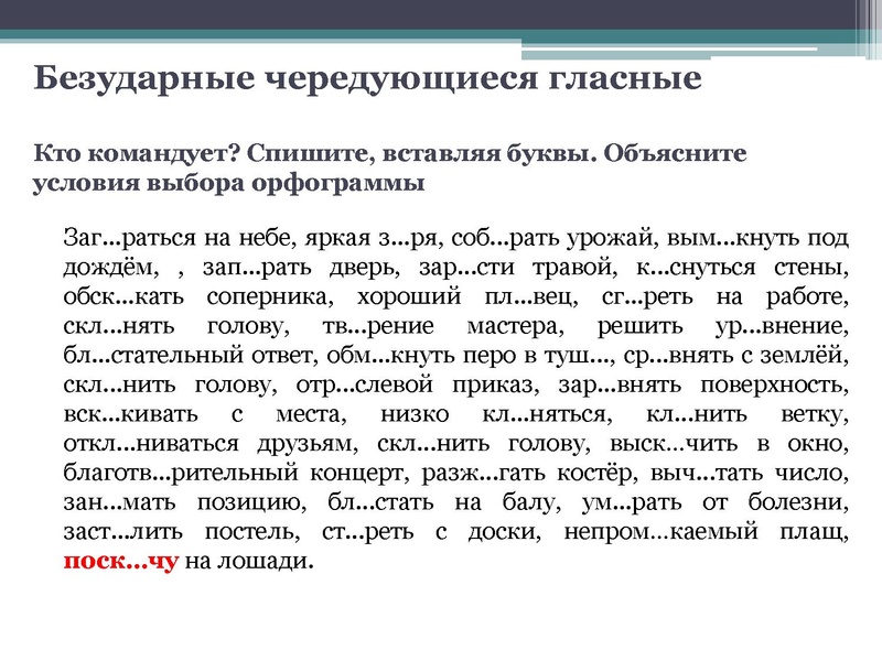 Файл:Громова Е.А..pdf