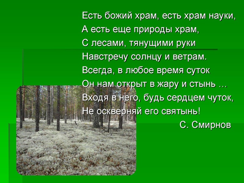 Файл:Леса Югры.ppt