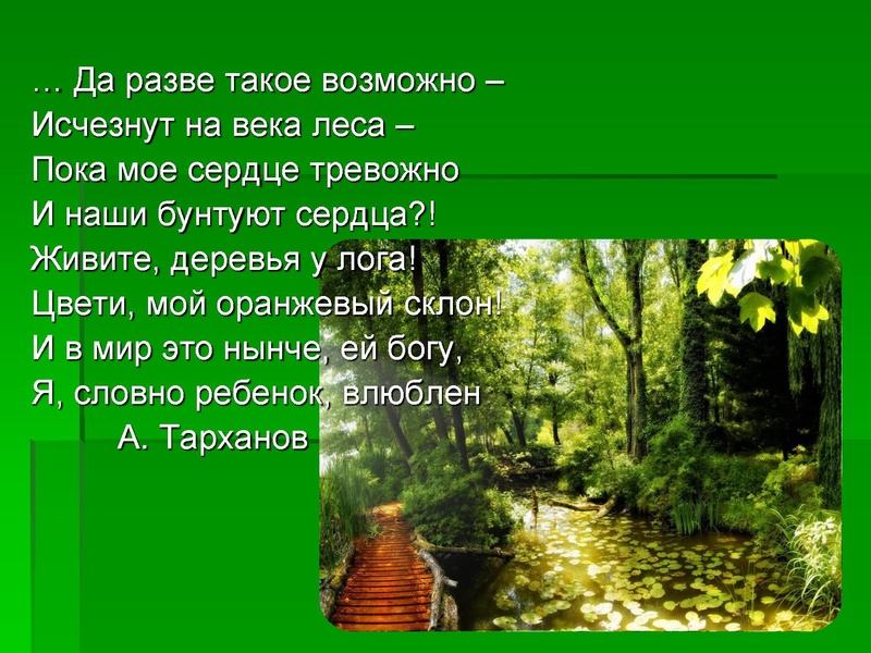 Файл:Леса Югры.ppt