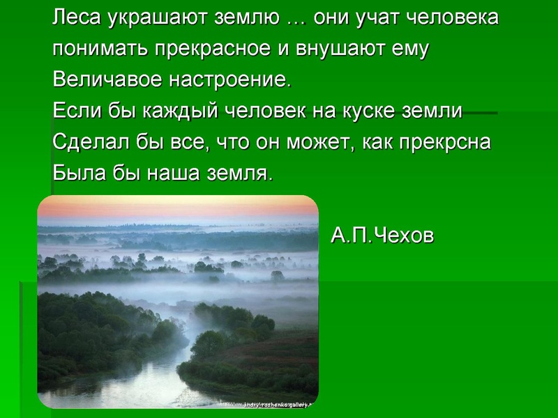 Файл:Леса Югры.ppt