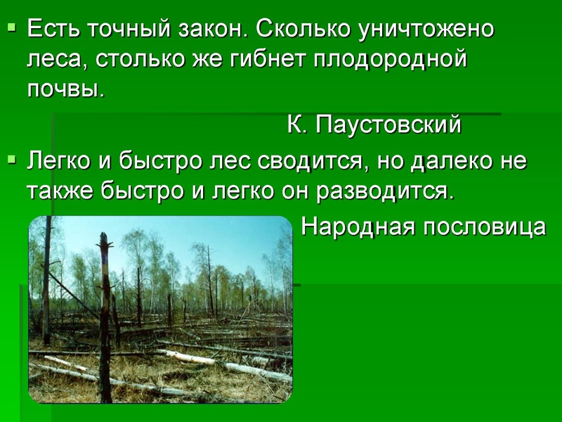 Файл:Леса Югры.ppt