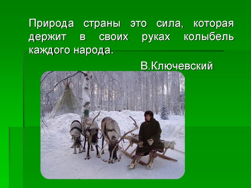 Файл:Леса Югры.ppt