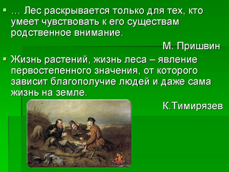 Файл:Леса Югры.ppt